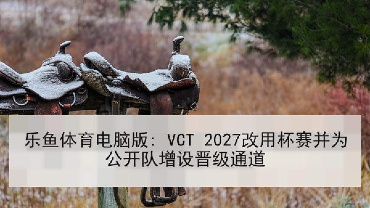 乐鱼体育电脑版: VCT 2027改用杯赛并为公开队增设晋级通道