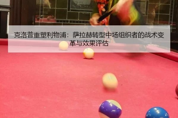 ke-luo-pu-zhong-su-li-wu-pu-sa-la-he-zhuan-xing-zhong-chang-zu-zhi-zhe-de-zhan-shu-bian-ge-yu-xiao-guo-ping-gu-3-984.jpg